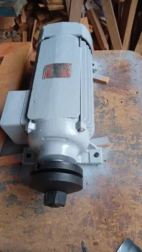 Motor 7cv tipo jacaré para serra