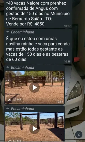 Gados