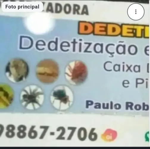 Dedetizacão, desratização e Controle de Pragas em Geral 