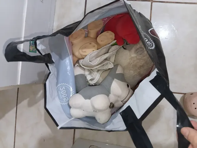 Sacola de brinquedos