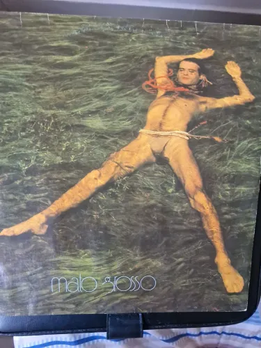 R$ 125 | Disco | Vinil | Ney Matogrosso | LP usado em bom estado de 1982