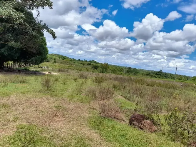 Fazenda à Venda em Confresa - MT | 625 Hectares | Alta Produtividade | Oportunidade no Agr