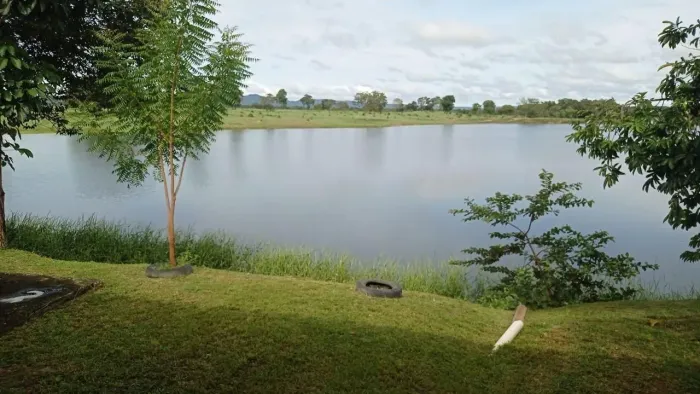 Fazenda 100 Alq dupla aptidão em Araguapaz
