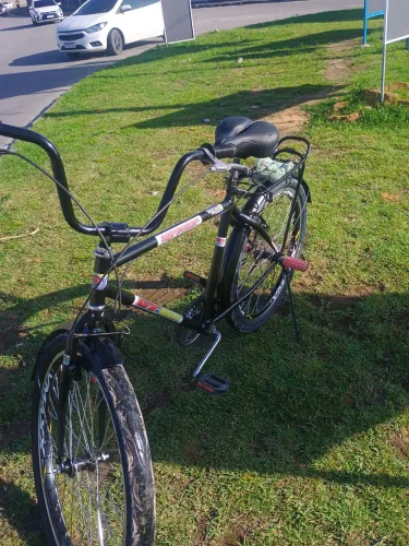 Bicicleta safari