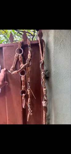 Cabeçada e chicote feio de couro de boi