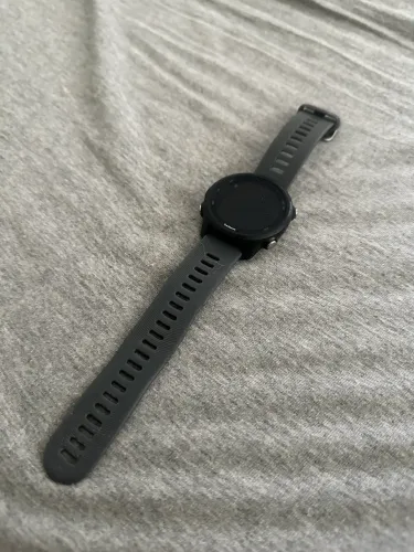 Garmin 245