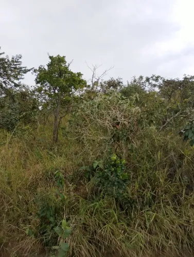 Terreno em Juatuba 