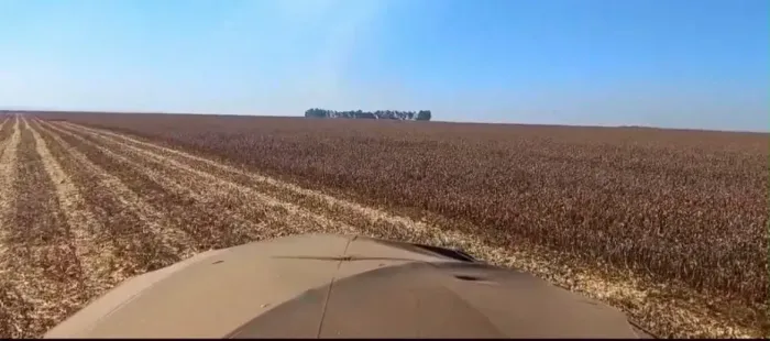 Arrendamento Plantando a 20 anos, Guarai - Tocantins