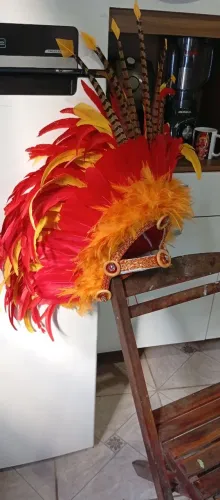 Cocar de índia 