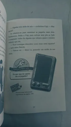 Livro a turma dos tigres e a pirâmide maldita
