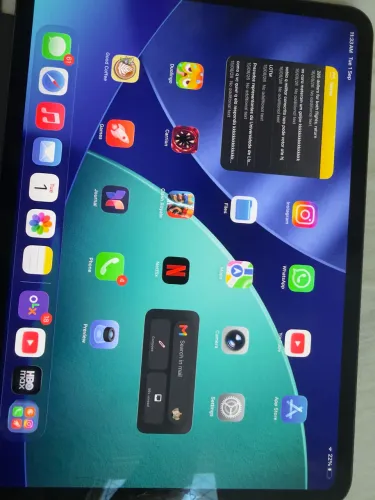 Ipad Pro M4 11' 256 GB