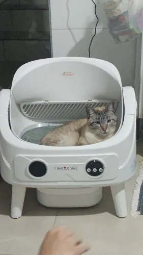 Banheiro Gato, Caixa de Areia Automática Autolimpante, Caixa Sanitária Inteligente NEWPET
