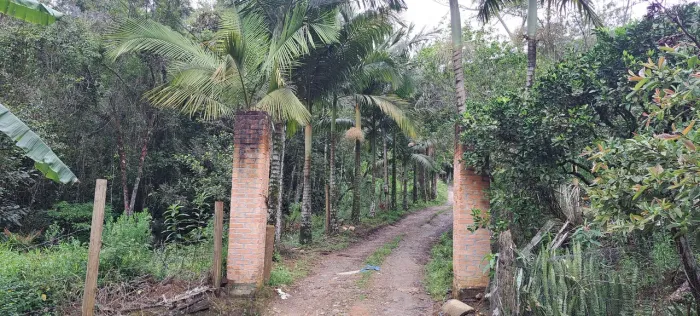 Vendo sitio em Aguas Mornas / Santo Amaro da Imperatriz