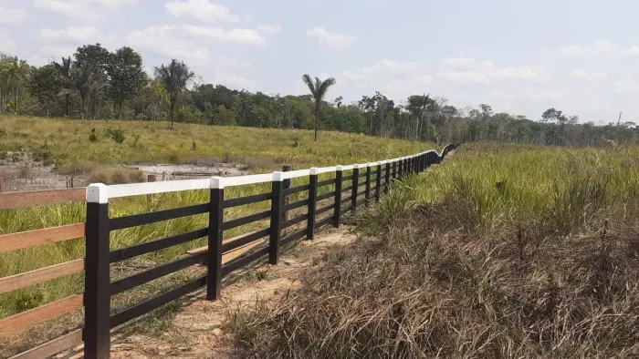 1770 hactares de pasto pra venda ou arrendamento em Labrea- AM