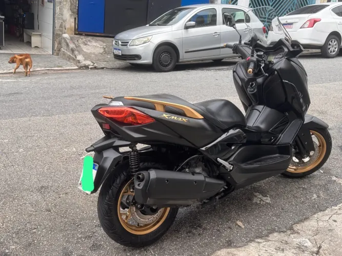 Xmax 250 abs
