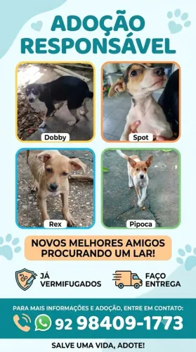 DOAÇÃO FILHOTES 