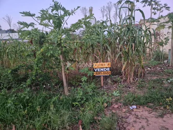 Terreno à venda no Bosque das Palmeiras  Campinas/SP!