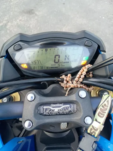 GSXS 1000