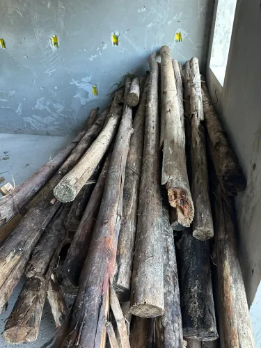Oportunidade, escoras de eucalipto e tábuas 