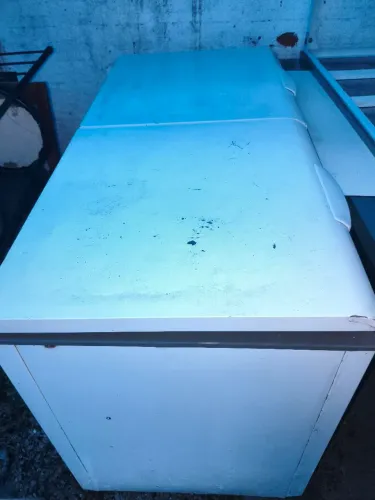 Freezer horizontal