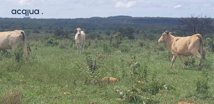 Fazenda à venda, 17520000 m² por R$ 30.000.000,00 - 256 - Tesouro/MT