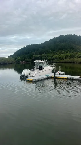 Fishing Raptor PARELHA 300hp (sedna,victory,fly Fish,wellcraft,)