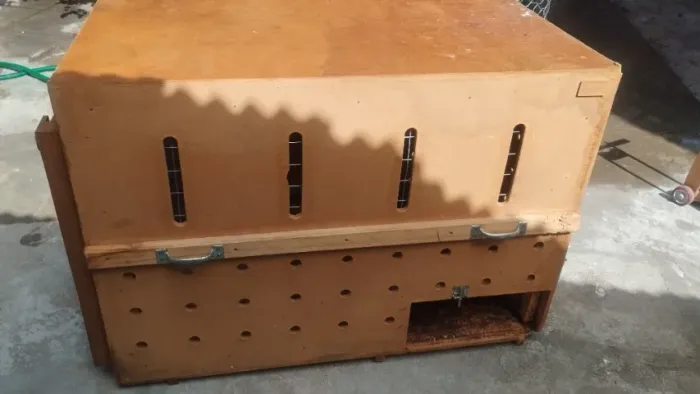 Caixa de Transporte para Cães de Médio/Grande Porte - Madeira Naval 