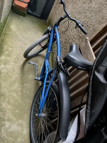Caloi 100