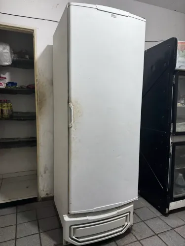 Freezer vertical