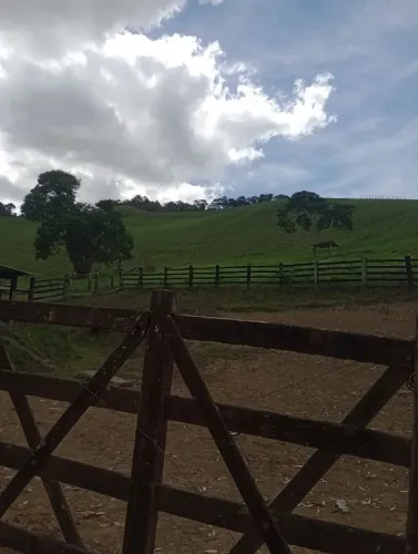 Vendo fazenda pecuária