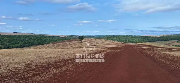 Imóvel para venda possui 5940000 metros quadrados em Zona Rural - Cornélio Procópio - PR
