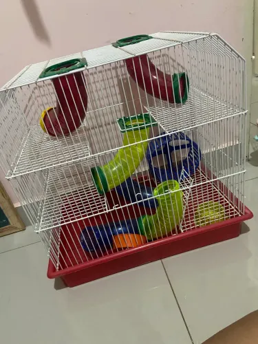 Gaiola hamster