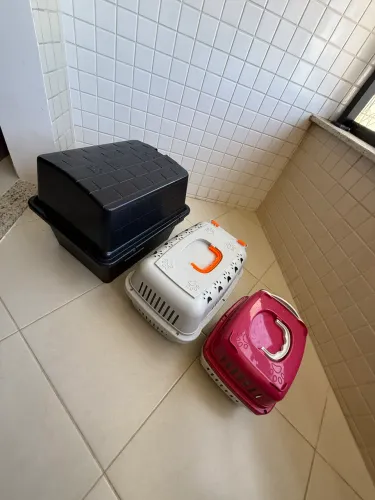 Kit 3 Caixas de Transporte (P,M e G) - Cães e Gatos