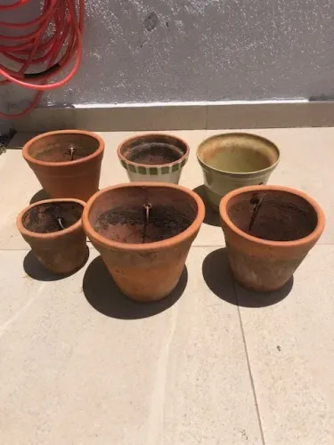 Vasos para plantas