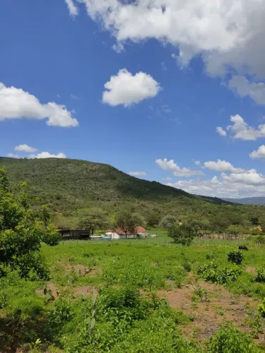 Fazenda Com 580 Hectares EM, Manoel Vitorino BA