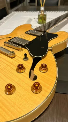 Guitarra Semi Acústica Condor Jc-503 - Troco