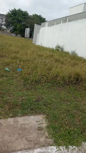 Serviços de limpeza e jardinagem 