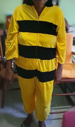 Fantasia de abelha são duas
