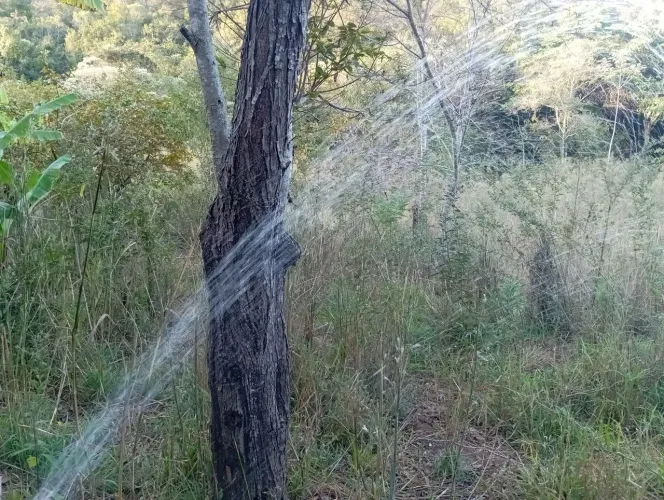 Água De Nascente Por Gravidade/Área 3.000 M²...139.900.00