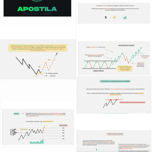 Apostila Excelência Trading - Aprenda a negociar como um profissional!