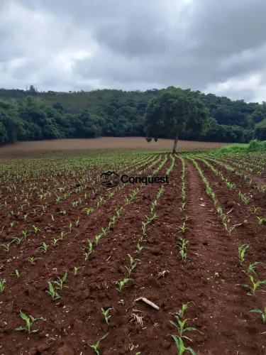 Vendo- Uma Linda Fazenda Cidade Entre Rios Minas - 37 Hectares !!