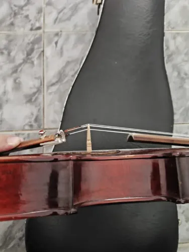  Viola Nhureson de 21 Anos  