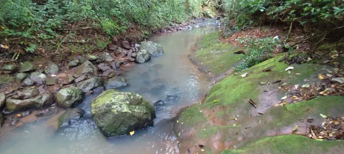 SÍTIO 2 HECTARES COM RIACHO - ROLANTE/RS - ESCRITURA