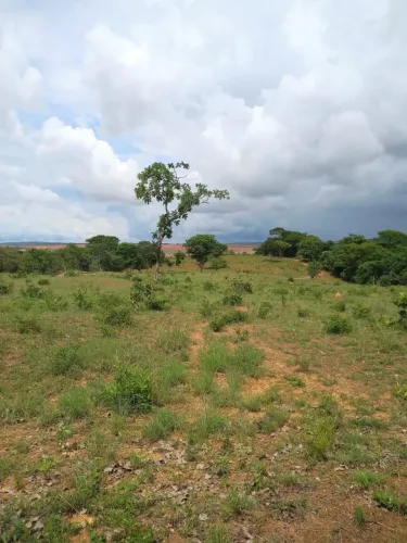 Sítio à venda em Água Fria de Goiás | 10 hectares com rio