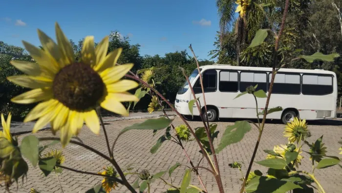 Motorhome top montagem 2022