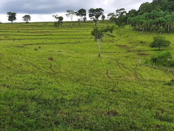 Chacara com 1,24 alqueires em Terezopolis de Goias