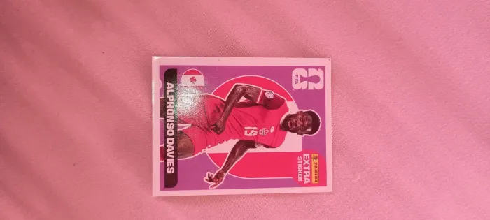 Figurinha panini