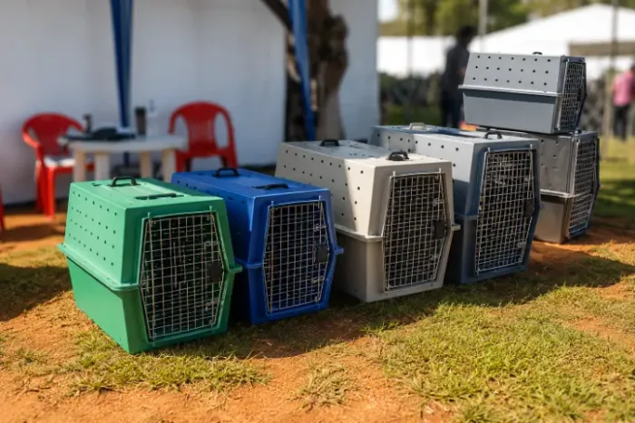 Caixa de transporte para Pet MagazinedoPet N1 ATÉ N10