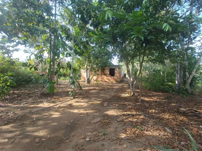 //Lote com 800 M2 em Açutuba 