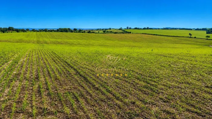 Lapa/PR - Fazendinha Plana e 90% Agricultável 22,65 hectares